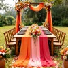 Whaline 3Pcs Chiffon Table Runner 10 Ft Sheer Table Cover