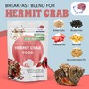 Snout and Shell Snout and Shell Fruity Breakfast Blend Hermit
