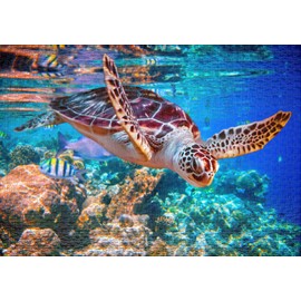 Ulmer Puzzleschmiede - Puzzle "Sea Turtle" - Classic 1000 Piece Puzzle from the Sea - Puzzle Motif of the Floating Turtle as a Luminous Underwater Shot in the South Sea