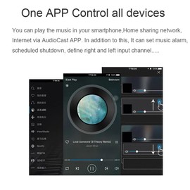 Peakloong Wireless WiFi Music Audio Streamer Receiver Audiocast Ieast Play M5 DLNA for Airplay Audio Adapter Multi Room Streams, Fine Workmanship
