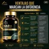 Suplemento Nad Resveratrol 100 Cápsulas Blandas