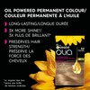 Garnier Olia Permanent Hair Dye, Ammonia-Free Hair Color, 8.0 Medium
