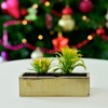 WGVI Long Rectangle Ceramic Planter Vase in Gold Etched 14"