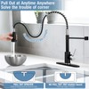 DJS Kitchen Faucets with Pull Down Sprayer Matte Black &