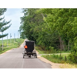 Slow Moving Vehicle Triangle Safety Sign,14"x16" Plastic, Highly Visible, Engineering Grade Reflective for Golf Cart