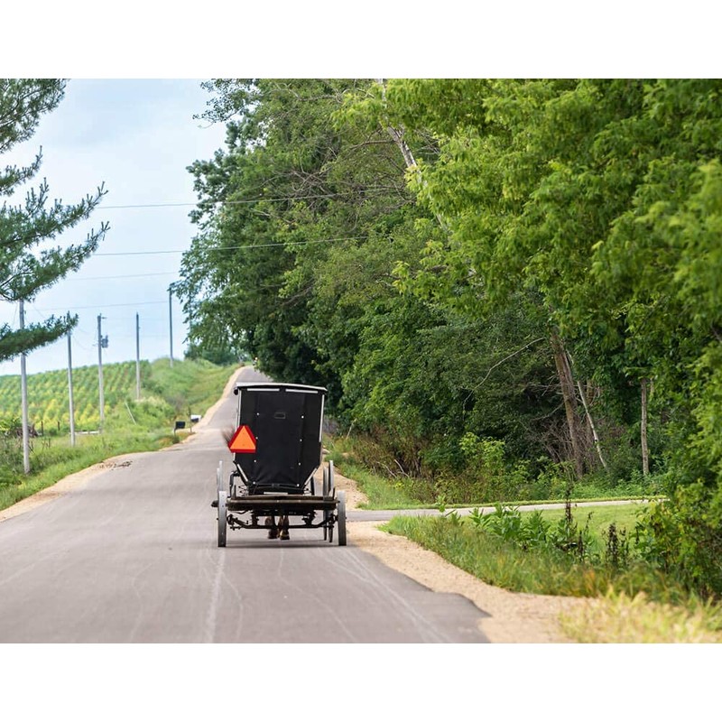 Slow Moving Vehicle Triangle Safety Sign,14"x16" Plastic, Highly Visible, Engineering