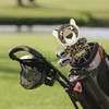 Scott Edward Driver Novelty Golf Head Cover, Cute Animal, Fit
