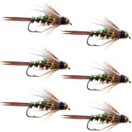 The Fly Fishing Place Tungsten Bead Head Flash Back Prince Nymph Fly Fishing Flies - Set of 6 Flies Hook Size 10
