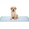 Fluff Underpads 17" X 24" - 100 PACK