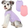 2 Pack Dog Clothes for Small Dogs Summer Dog Shirt