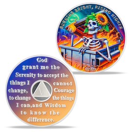 Dumpster Fire 5 Year Sobriety Coin, AA Chip with Skull, Flames & Serenity Prayer, 5 Years Sober Medallion, Recovery Token, Sobriety Gift for Women & Men