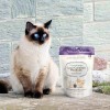 Cocotherapy Coco-carnivore - Bolas Para Perros, 2.5 Onza