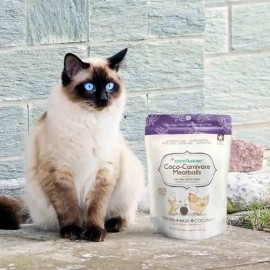Cocotherapy Coco-carnivore - Bolas Para Perros, 2.5 Onza