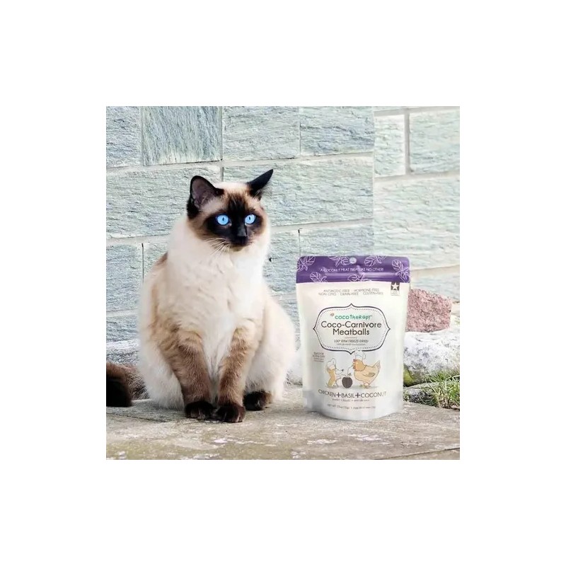 Cocotherapy Coco-carnivore - Bolas Para Perros, 2.5 Onza