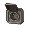 Plexo Legrand Socket 2P+T Waterproof 16A Complete Flush-Mounted Anthracite