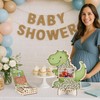 Aymolas Dinosaur Baby Shower Guest Book Alternatives Set Dinosaur Baby