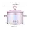 Vaguelly Glass Pot, Clear Glass Cooking Pot Saucepan with Lid,