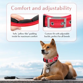 Comfort Fit Soft Padded Dog Collar with Adjustable Buckle - Lightweight, Breathable Dog Training Collar with Customizable Fit - Durable Heavy Duty Dog Collar - Red, S, Neck 12-14"