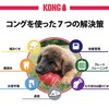 Kong Puppy Kong Dog Toy, Blue, Small