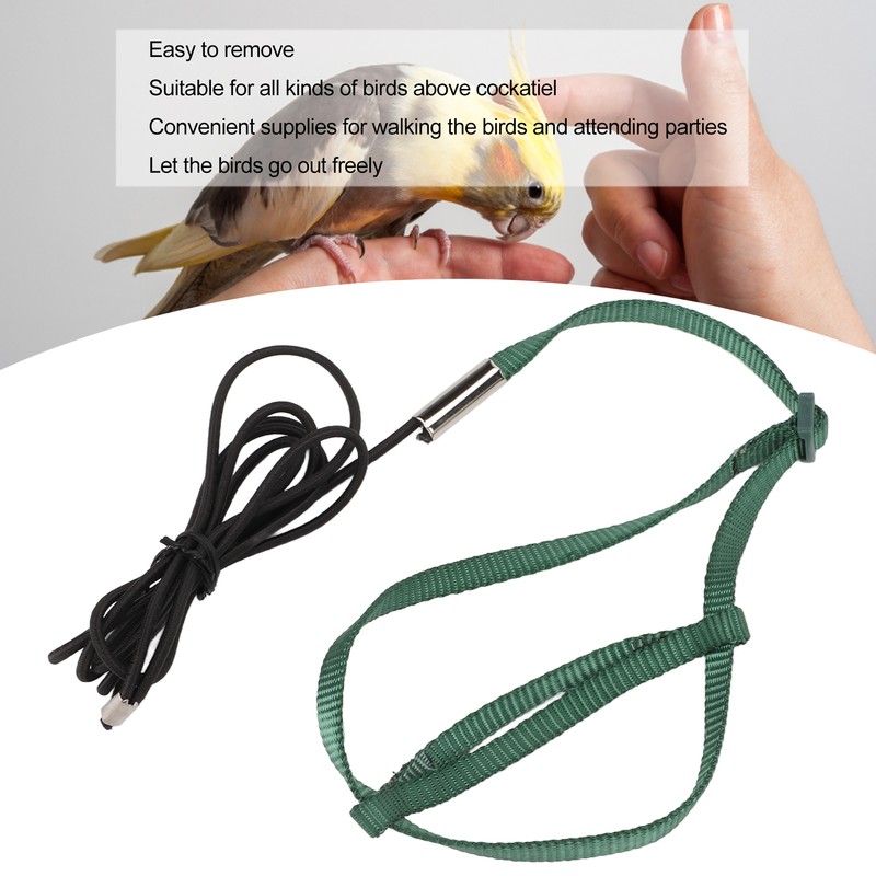 Bird Harness Leash Adjustable Elastic Flying Training Parrot Traction Rope