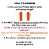 Prickly Spinny Click – Spiky Spinner Fidget | Clicky Button