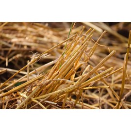Unbranded Straw Bedding For Rabbits, Guinea Pig, Chinchilla, Goat, Horse MANY SIZES - Small ≈ 1.25Lbs