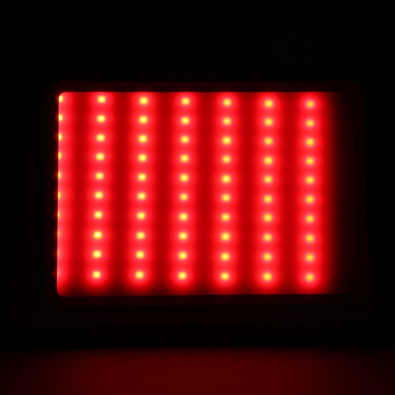 Red Blue Light Therapy Acne Removal Beauty Instrument Photon Skin
