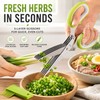 5-Blade Stainless Steel Herb Scissors for Kitchen Food Prep –
