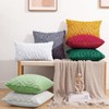 Pallene Soft Faux Fur Throw Pillow Covers 18x18 Set of