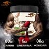 Creatina Monohidratada Suplemento 500gr Klokan 100 Servicios