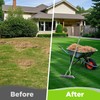 WORKPRO Thatch Rake, 15-Inch Thatching Rake for Lawns, Heavy Duty