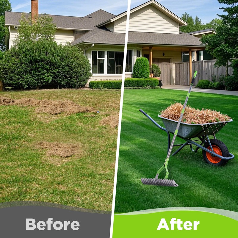 WORKPRO Thatch Rake, 15-Inch Thatching Rake for Lawns, Heavy Duty