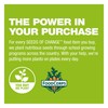 SEEDS OF CHANGE Organic Brown Basmati Rice, Microwaveable Ready to