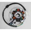 FANCY SCOOTERS Magneto Stator W/ Light For 125cc 140cc Apollo