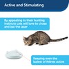 Petsafe Zip Automatic Laser Light, Interactive Playtime For Pets, White