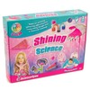Science 4 You Shining Science Kit, Educational Science STEM Toy