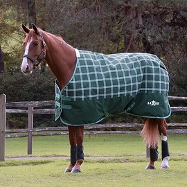 Saxon Defiant 1200D Standard Neck Lite, Hunter Green/Plaid, 75"