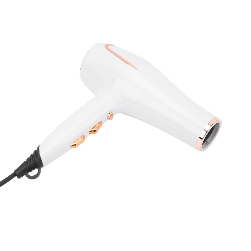 Electric Hair Dryer Adjust Temperature Wind Speed Blow Dryer Hair