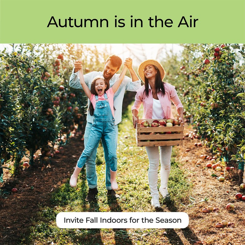 Good Essential Professional Apple Fragrance Oil (30ml/1 fl oz) for