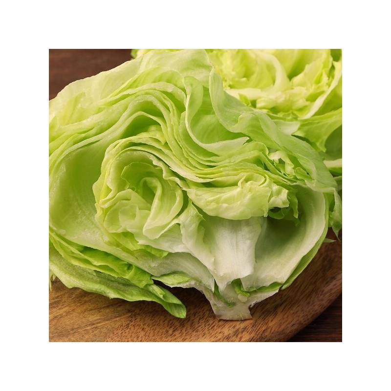 국내산 양상추 5개 2kg 내외 Domestic Lettuce 5 Pieces Approximately