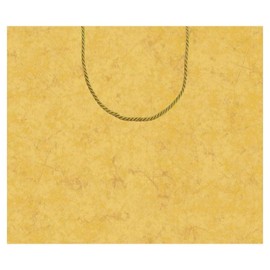 Caspari Antique Gold Large Gift Bag - 4 Bags