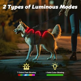 Light Up Dog Harness, 7 Color Changing LED Dog Harness, Rechargeable No Pull Dog Vest Harness, Adjustable Rainproof Pet Harness, Glowing Dog Vest Harness for Dogs Night Walking