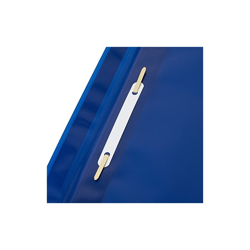 Esselte A4 Plastic Report Files, Pack of 25, 160 Sheet