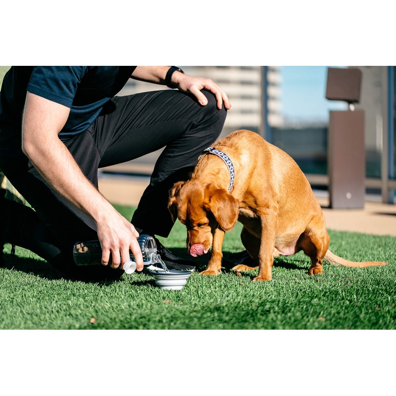 Dexas Popware for Pets Snack Duo Dual Chambered Hydration Bottle