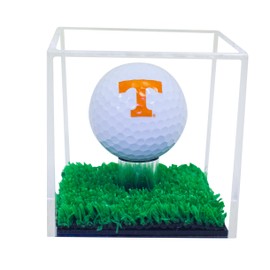 Better Display Cases Clear Acrylic Golf Ball Display Case with Turf Base (A046-CTB)