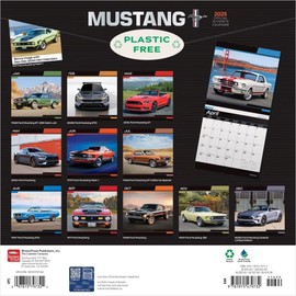 BrownTrout, Mustang 2025 Wall Calendar