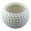 Accents & Occasions Ceramic Golf Ball Planter or Flower Arrangement