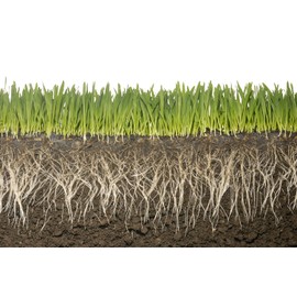 1LB Water absorbing crystals, polymer, soil moist Medium Size