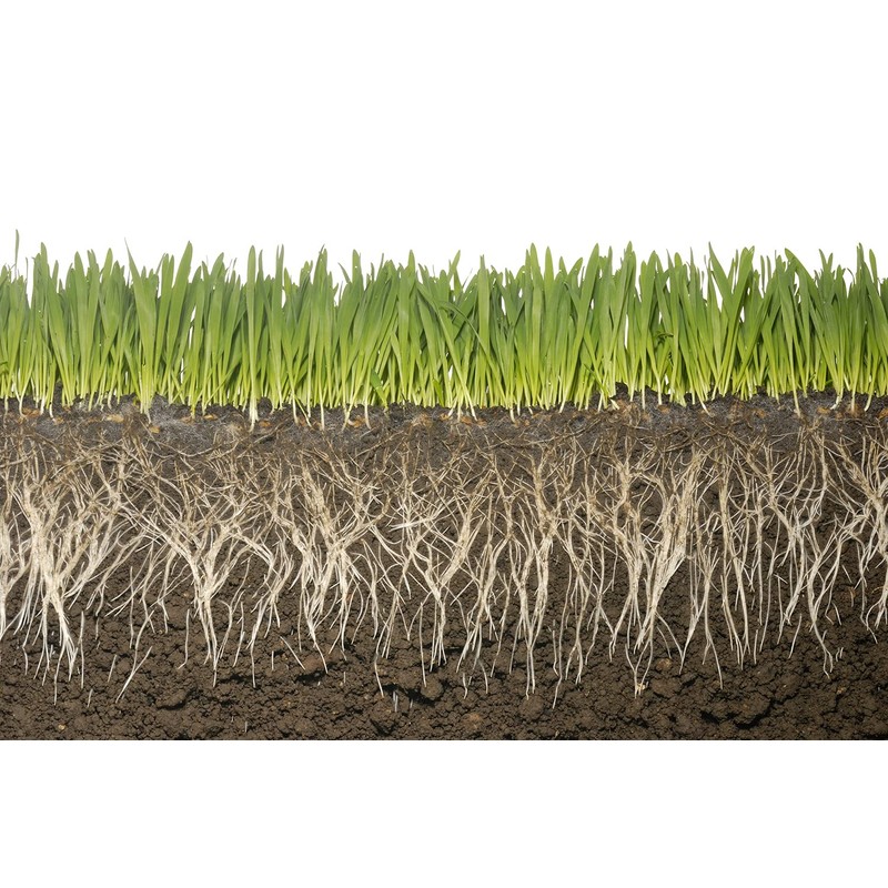 1LB Water absorbing crystals, polymer, soil moist Medium Size