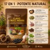 Gwynne Clavo Y Nuez Negra 18-en-1 De Olor Limpieza De